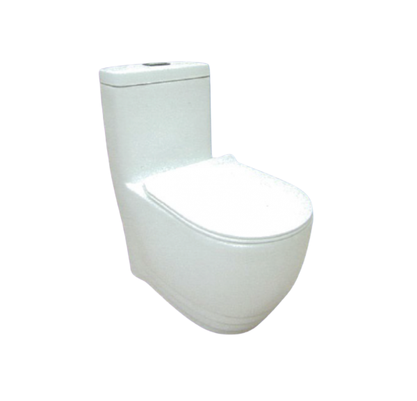 BARON W888 WASHDOWN TOILET BOWL WITH GEBERIT FLUSHING SYSTEM