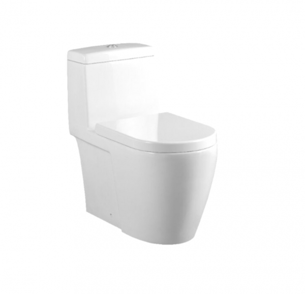 BARON W888 WASHDOWN TOILET BOWL WITH GEBERIT FLUSHING SYSTEM